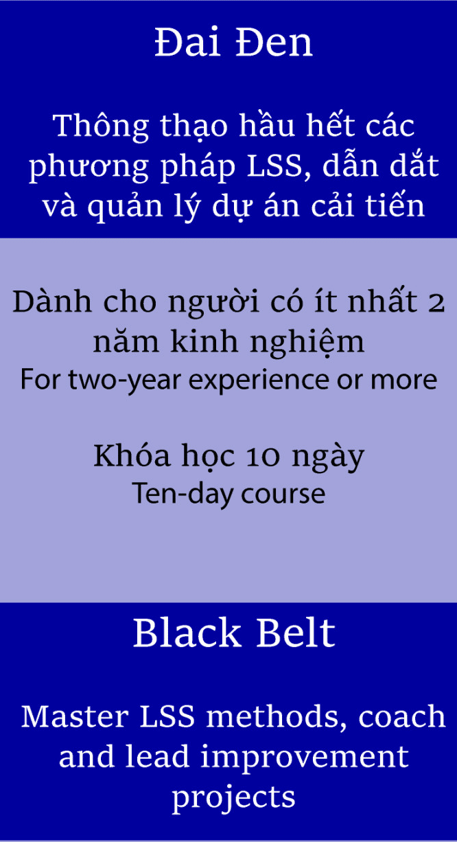 Lean Six Sigma - Khóa học Lean Six Sigma Đai Đen (Black Belt)