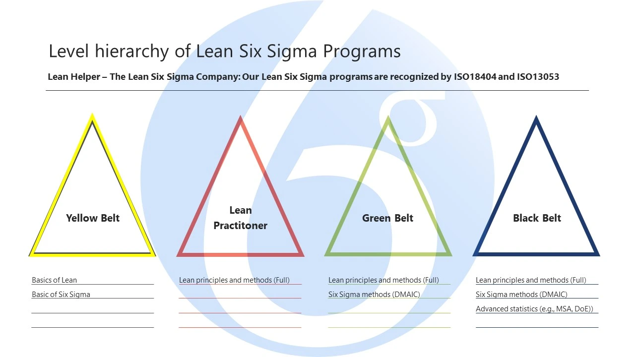 Sự Khác Biệt Giữa Các Chương Trình Lean Six Sigma - Mapping