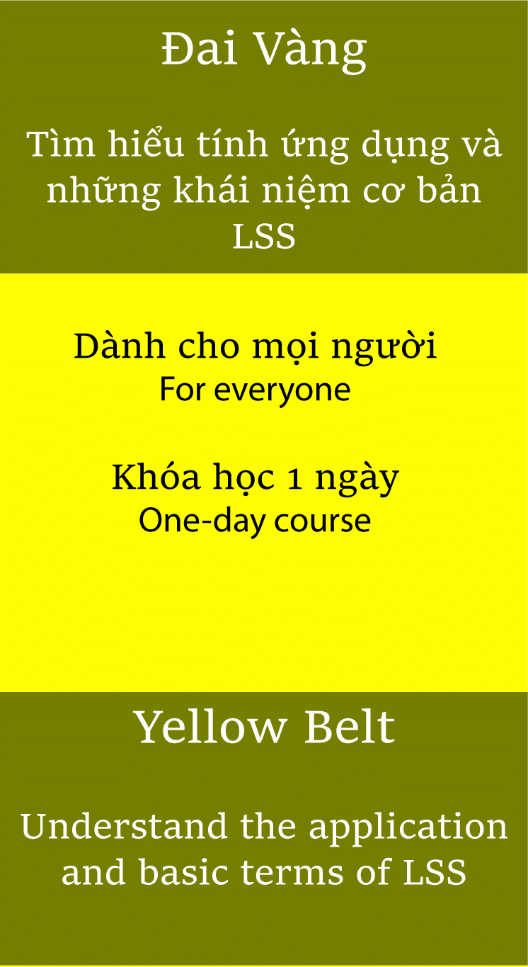 Lean Six Sigma - Khóa học Lean Six Sigma Đai Vàng (Yellow Belt)