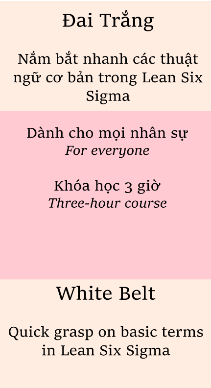 Lean Six Sigma Đai Trắng (White Belt)